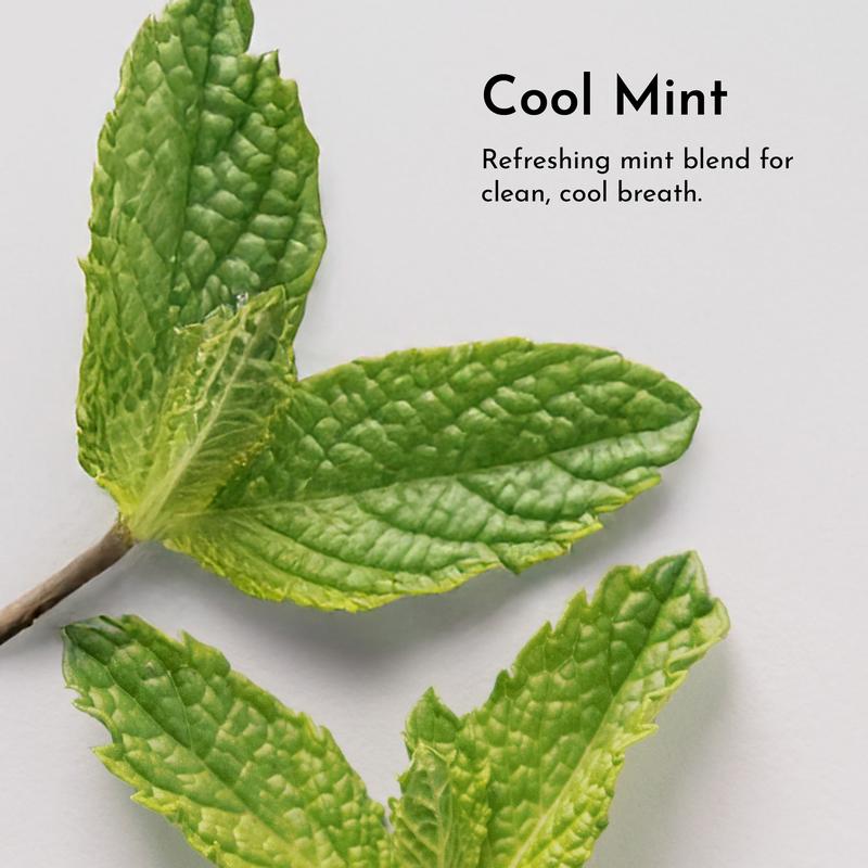 Zivetta Whitening Tooth Powder